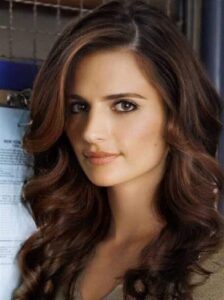 Stana Katic Body Measurements